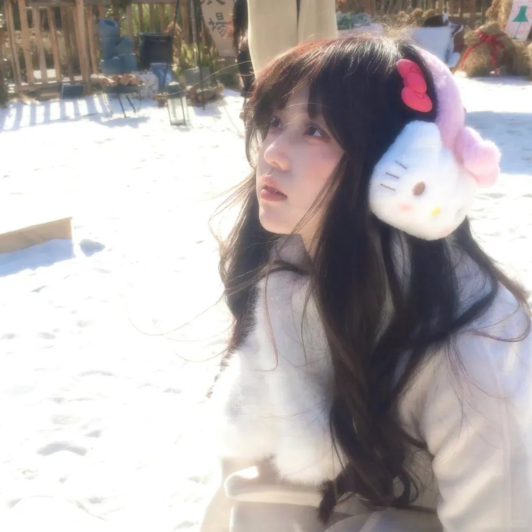 精灵宝可梦：比克提尼与黑之英雄捷克罗姆